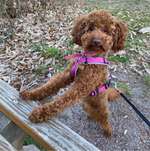 Ersteller:in Eka Profilbild