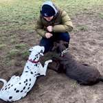 Ersteller:in Marcel Profilbild