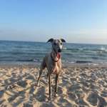 Ersteller:in Sophie Profilbild