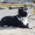 Ersteller:in Claus Profilbild