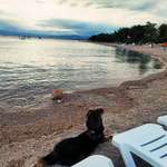 Ersteller:in Dignoti Profilbild