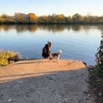 Ersteller:in Cori Profilbild