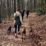 Ersteller:in Sophia Profilbild