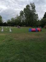 Hundetraining und Spielen-Beitrag-Bild