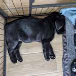 Ersteller:in Natalie Profilbild