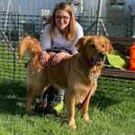 Ersteller:in Lisa Profilbild