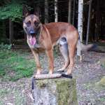 Ersteller:in Timo Profilbild