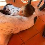 Ersteller:in Gaby Profilbild