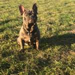 Ersteller:in Linda Profilbild