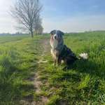 Ersteller:in Stefanie Profilbild