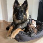 Ersteller:in Anna Profilbild