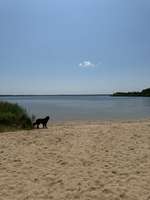 Hundeauslaufgebiet-Hundestrand am Bärwalder See.-Bild