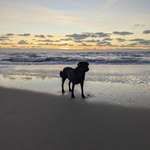 Ersteller:in Basti Profilbild