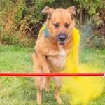 Ersteller:in Karin Profilbild