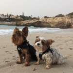 Ersteller:in Joanna Profilbild