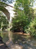 Hundeauslaufgebiet-Renaturierte Pfrimm-Bild