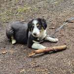 Ersteller:in Bine Profilbild