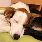 Ersteller:in Veronika Profilbild