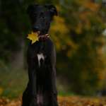 Ersteller:in Simone Profilbild