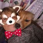 Ersteller:in Alfrida-Aika Profilbild