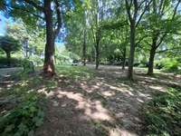 Hundeauslaufgebiet-Eingezäunter Hundespielplatz-Bild