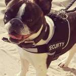 Ersteller:in Michelle Profilbild