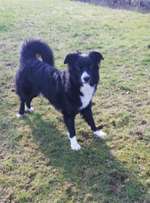 mailo, milow,meilo..-Beitrag-Bild