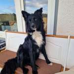 Ersteller:in Dorothee Profilbild