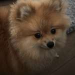 Ersteller:in Jasmin Profilbild