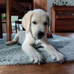 Ersteller:in Kirsten Profilbild