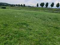 Hundeauslaufgebiet-Donau in Deggendorf-Bild