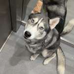 Ersteller:in Yasin Profilbild