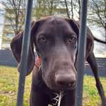 Ersteller:in Mona Profilbild