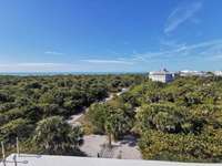 Langstreckenflug mit Hund-Beitrag-Bild