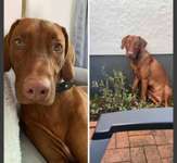 Suchmeldung-Itimu-Bild