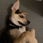 Ersteller:in Bettina Profilbild