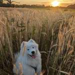 Ersteller:in Justyna Profilbild