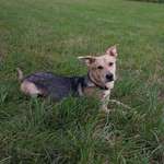 Ersteller:in Karolina Profilbild