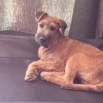 Ersteller:in Monika Profilbild