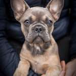 Ersteller:in Sarah Profilbild