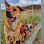 Ersteller:in Monique Profilbild