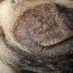 Was kann das sein?-Beitrag-Bild