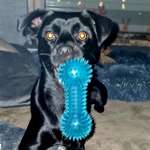 Ersteller:in Nina Profilbild