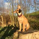 Ersteller:in Lisa Profilbild