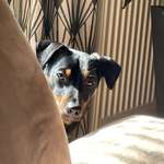 Ersteller:in Antje Profilbild