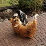 Ersteller:in Noémi&Ben mit Profilbild