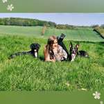 Ersteller:in Sina Profilbild