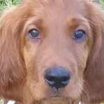 Ersteller:in Uta Profilbild