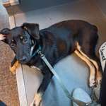 Ersteller:in Laura Profilbild