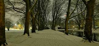 Hundeauslaufgebiet-Schloßpark Strünkede-Bild